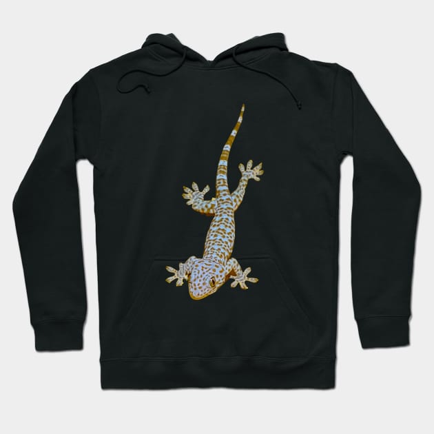 Tokay Gecko Hoodie by Upbeat Traveler